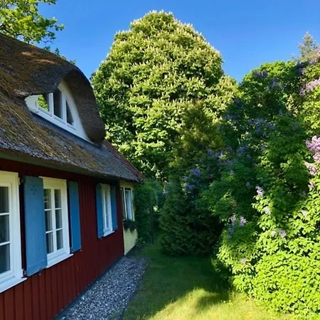 Ellas Kate 公寓 普雷罗