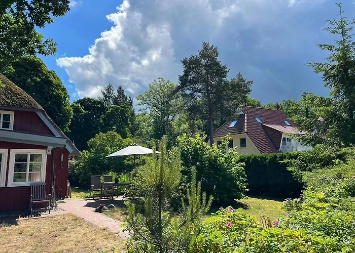 Ellas Kate * بريرو